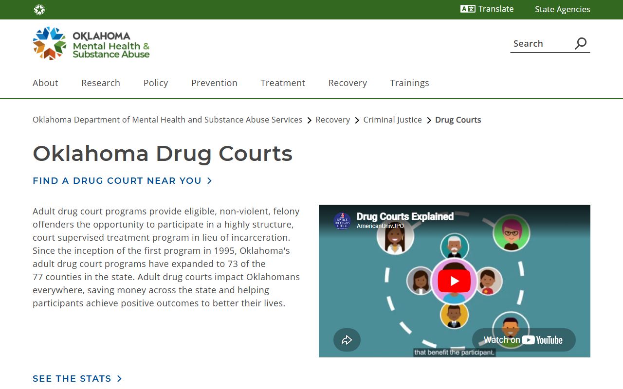 Logan County court charges and drug court diversion options