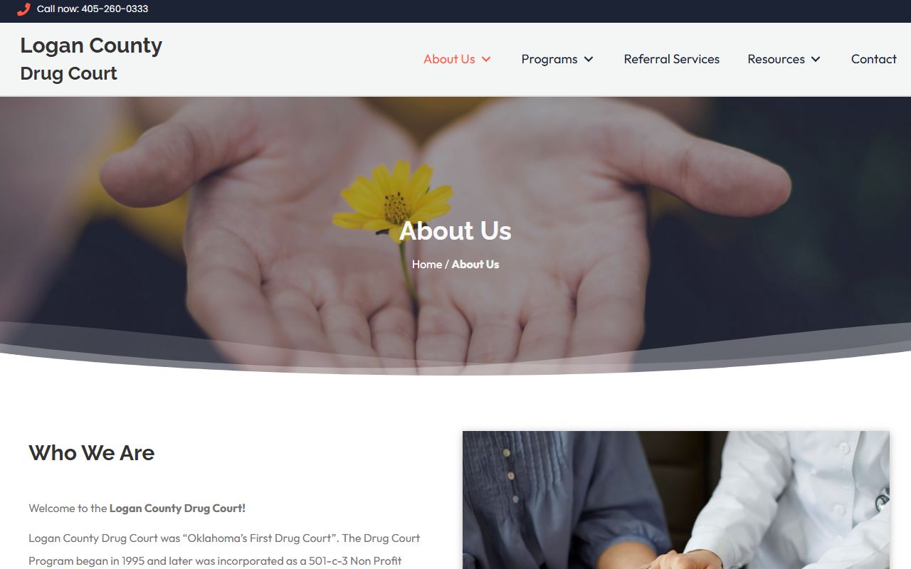Logan County criminal court records drug court program page